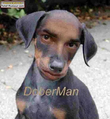 chof_weskot           awla........................